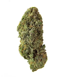 BANDWAGON SATIVA ROTATIONAL