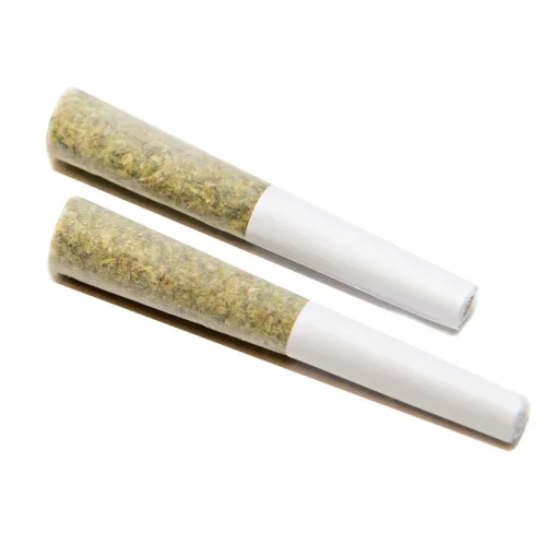 MANGO HAZE PRE-ROLLS - Image 2