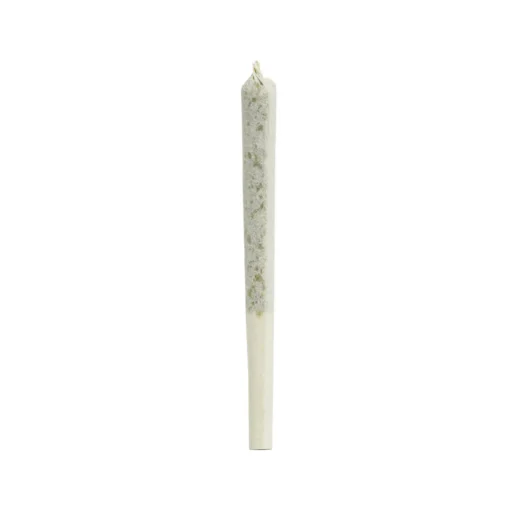 BANGTAIL PRE-ROLLS (ROTATIONAL)