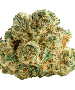 SPACE CAKE (Space Cake x Snow Lotus)