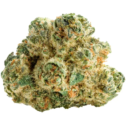 SPACE CAKE (Space Cake x Snow Lotus)