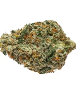 BC BOUNTY ROTATIONAL