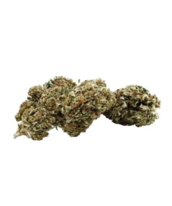 CERTIFIED ORGANIC CBD FLOWER (UMPQUA)