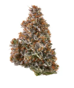 EARLY LEMON BERRY