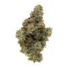 BC ORGANIC HOLLYWOOD MAC LTO