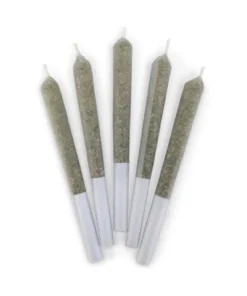 JELLY BEANZ PRE-ROLLS