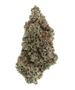PERSY STASH O.J. ZAINBOW (OJ ZAINBOW)