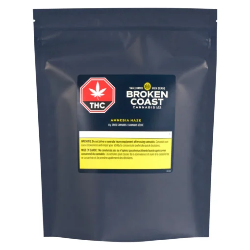 AMNESIA HAZE - Image 2