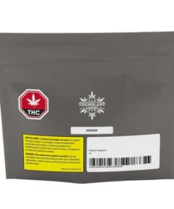 HASHISH