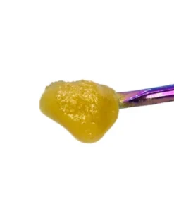 SPACE PANDA LIVE RESIN