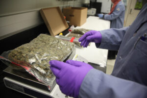 Organic cannabis store online USA with lab-tested products